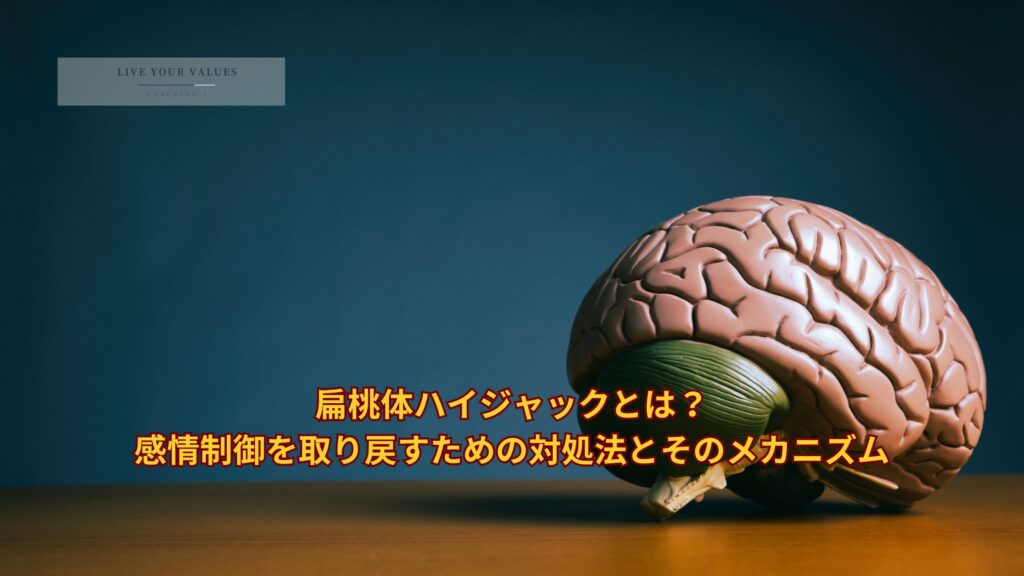 扁桃体ハイジャックとは？感情制御を取り戻すための対処法とそのメカニズム